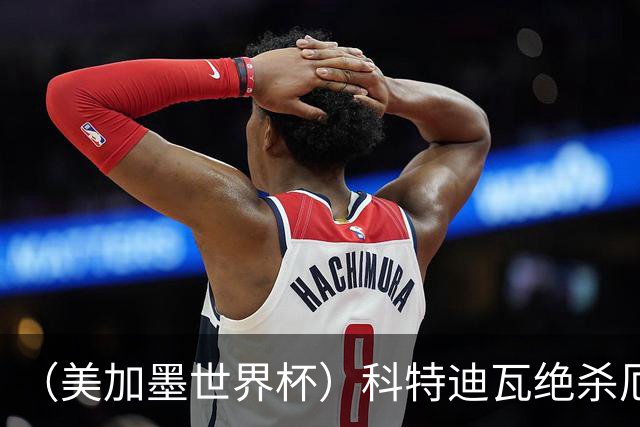 （美加墨世界杯）科特迪瓦绝杀厄瓜多尔 瑞典5:1大胜突尼斯