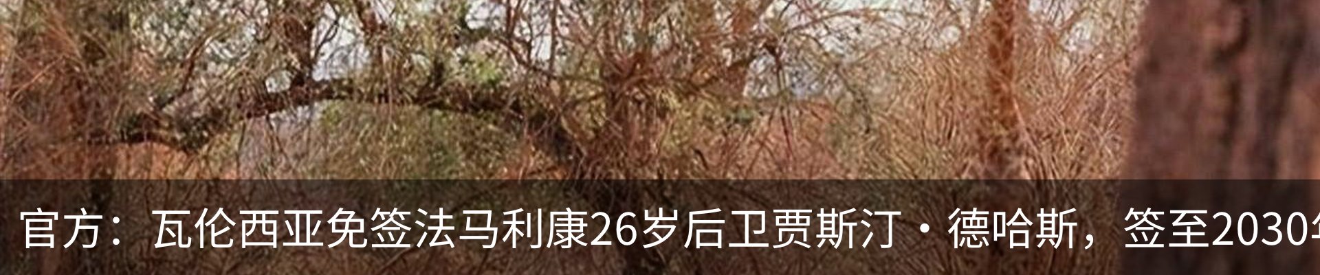 新闻中心